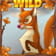 Das Fuchs-Wild des Seasons Slot.