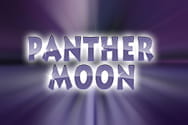 Panther Moon